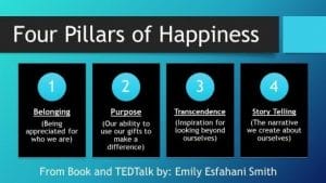 Four Pillars of Happiness by Emily Esfahani Tedtalks under CC by 2.0